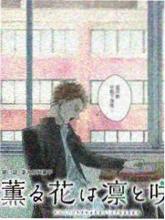 荒野食堂 综艺在线观看封面